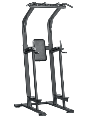 TAG Vertical Knee Raise Chin Dip